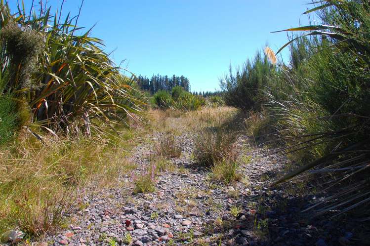 28 Erua Road National Park_9