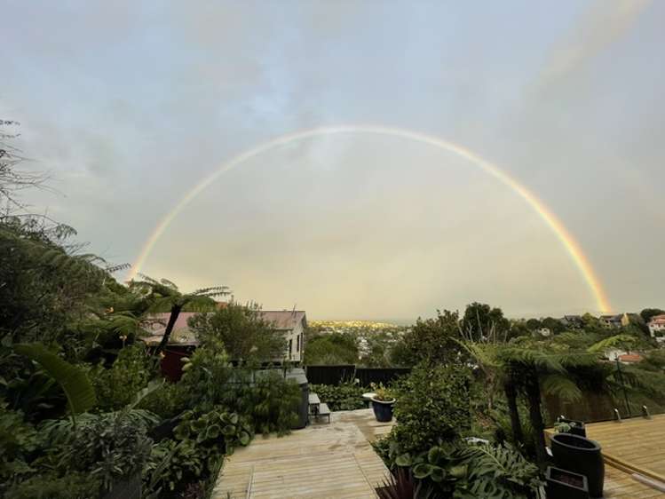 188a Browns Bay Road Browns Bay_23