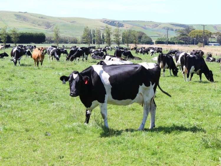 247 Mataura Island Road Wyndham Surrounds_4