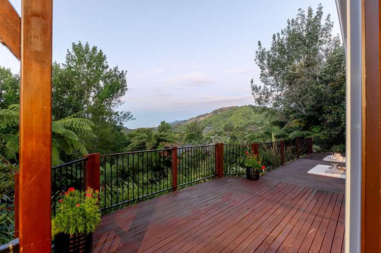 32 Maui Pomare Road Nikau Valley_10