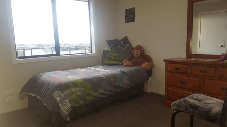 471 Picquet Hill Road Te Awamutu_12