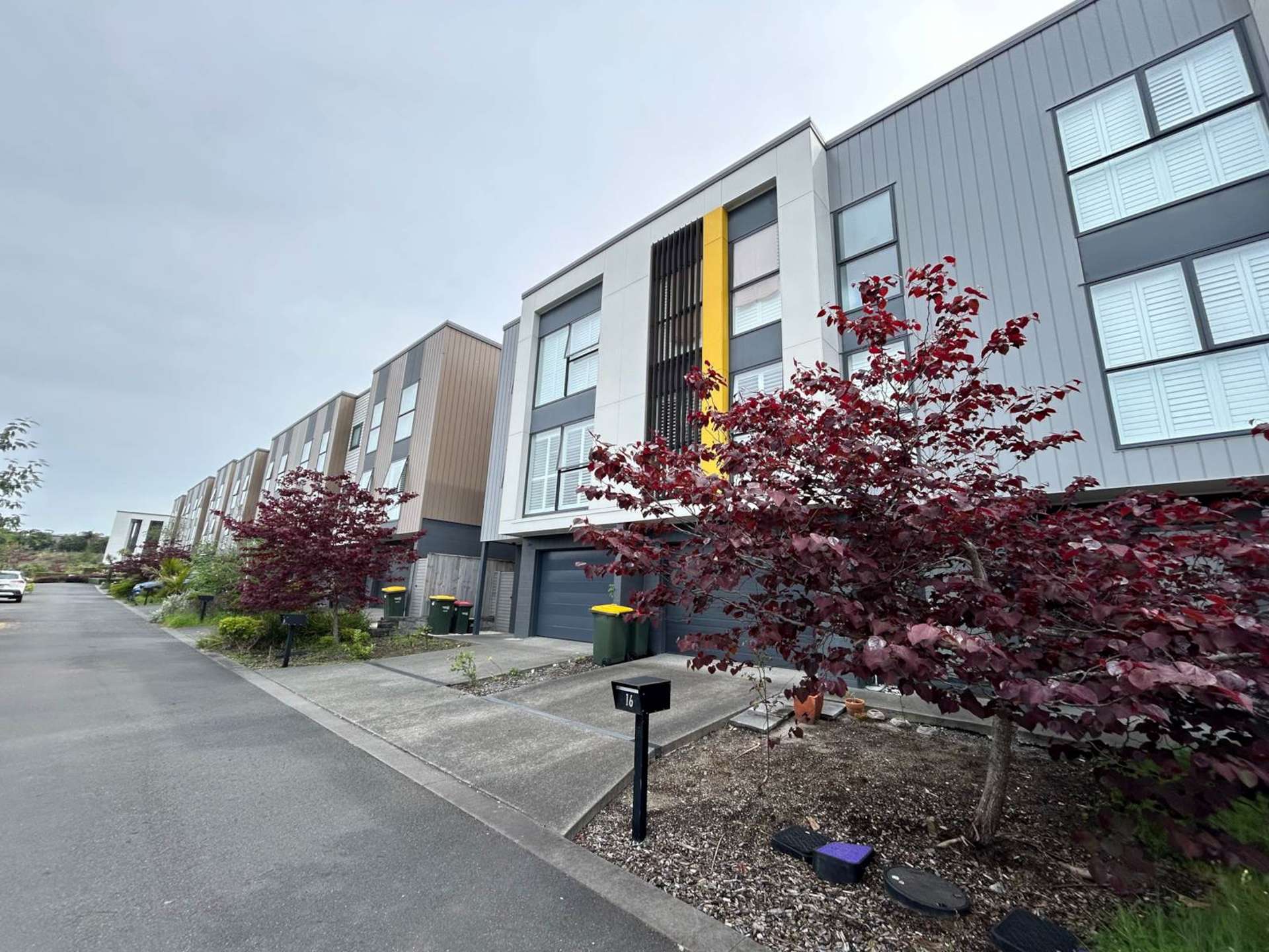 16 Charles Heaphy Lane Stonefields_0