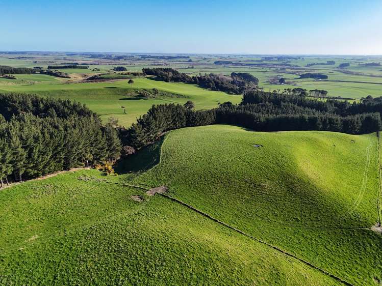 92 Carnie Road Mataura Island_14