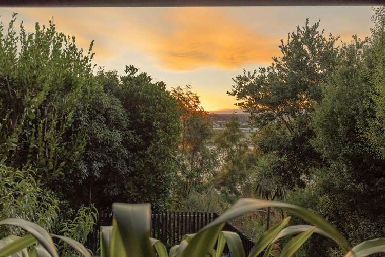 1/8 Hobday Lane Mount Pleasant_22