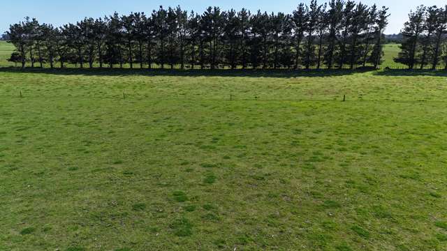 265 Paranui Road Foxton_4