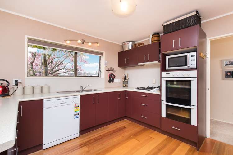 32 Moloney Terrace Pukekohe_6