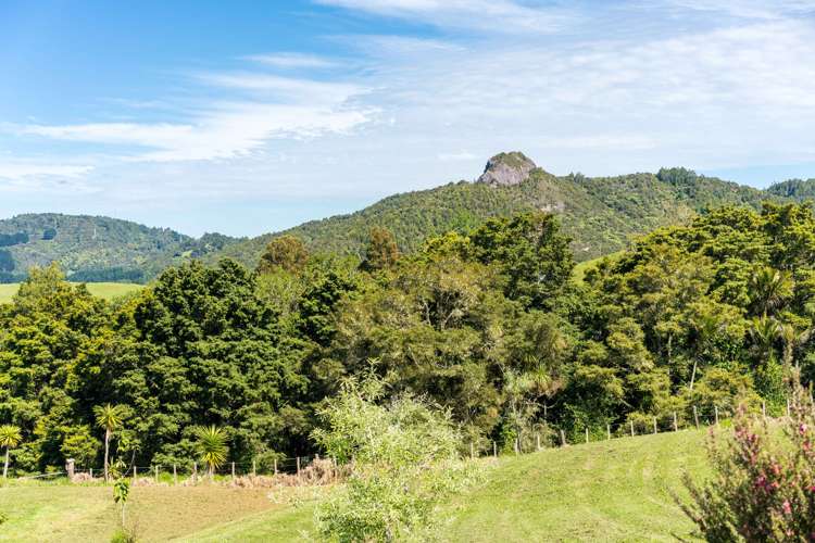 280 Baldrock Road Kaiwaka_14