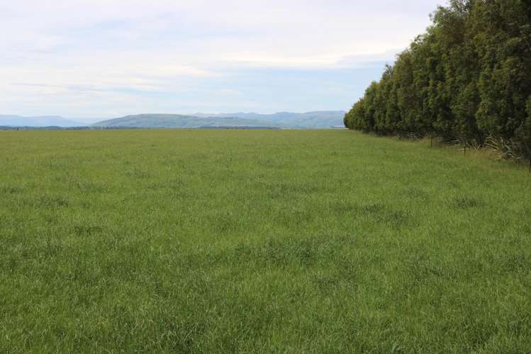 195 Dunn and Cody Road Riversdale_25