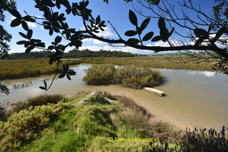 245 Metcalfe Road Matakohe_14