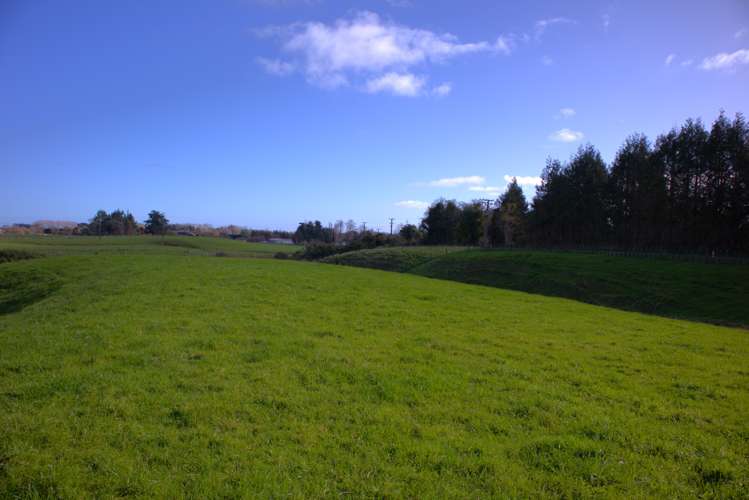 116 Mcdonald Road Levin_1