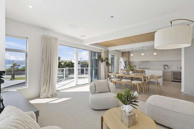 75 Dundas Street Seatoun_1