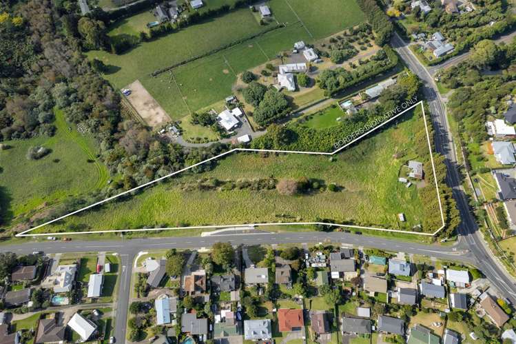 1 Ranginui Road_2