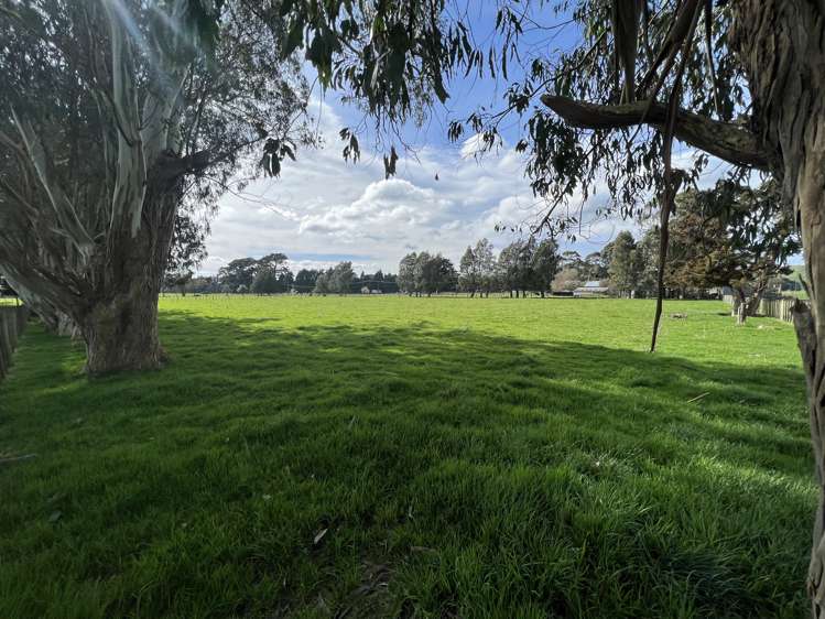 Tutaekara Road Pahiatua_6