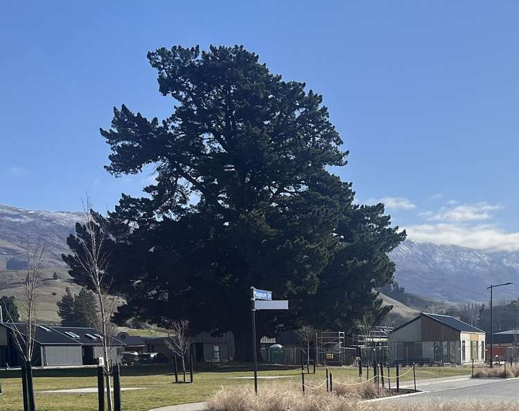 15 Hadley Place Cromwell_9