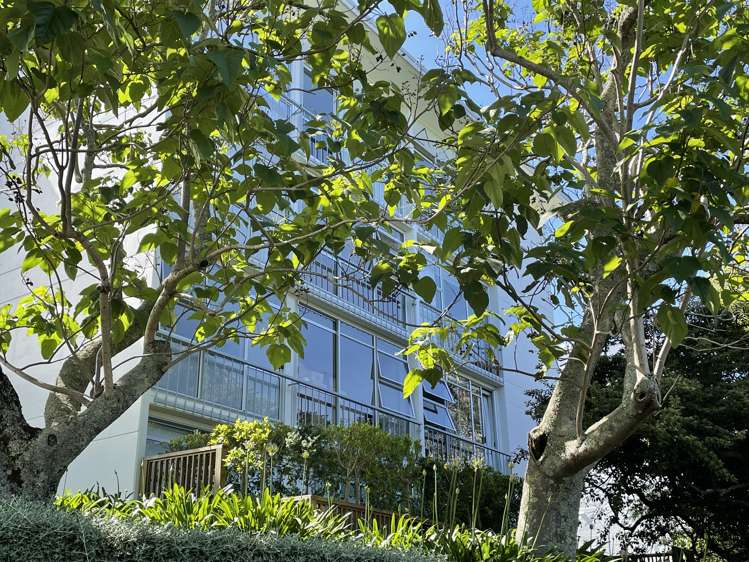 6/58 Wellington Street Freemans Bay_5