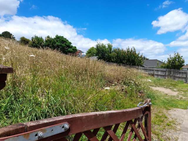 8 Ohinemuri Place Paeroa_1