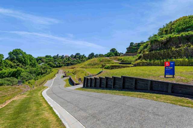 1 Huamatangi Way Vogeltown_1