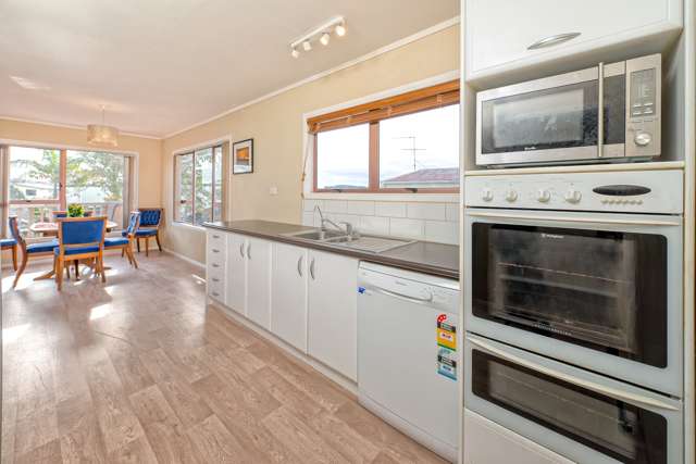 107 Nelson Street Pukekohe_3