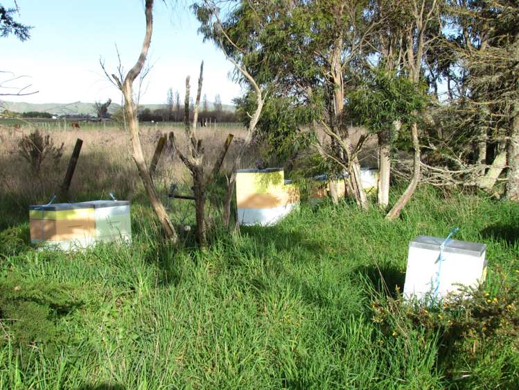 119 Solway Crescent Solway_16