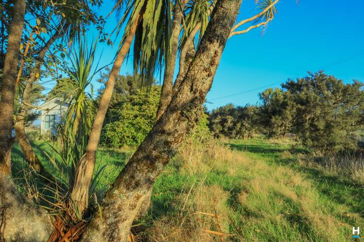 829 Nelson Creek Road Hochstetter_20