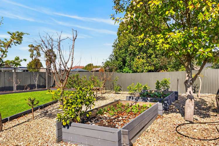 292 Kennedy Road Onekawa_28