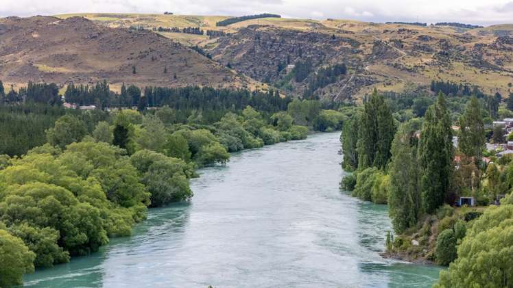 47 Selkirk Place Roxburgh_14