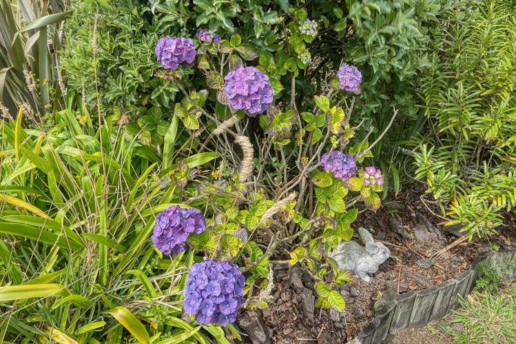 248B Kumara Junction Highway Rd2, Hokitika_39