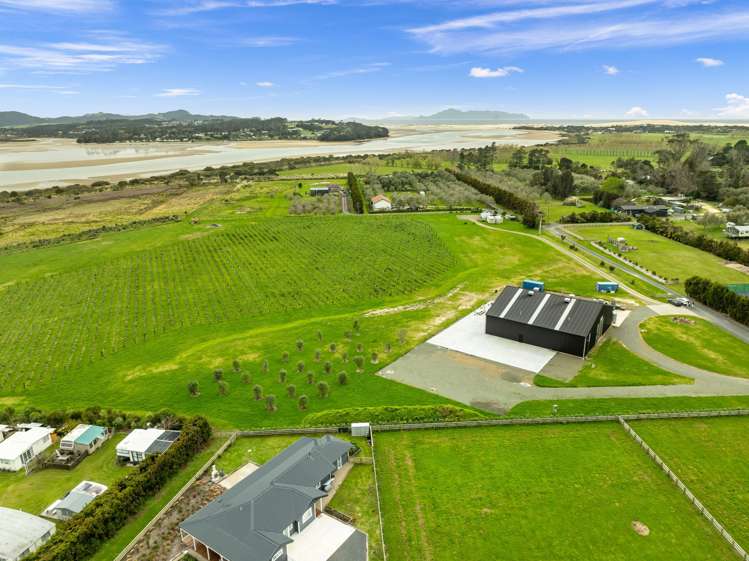 25 Windsor Way Mangawhai Heads_8