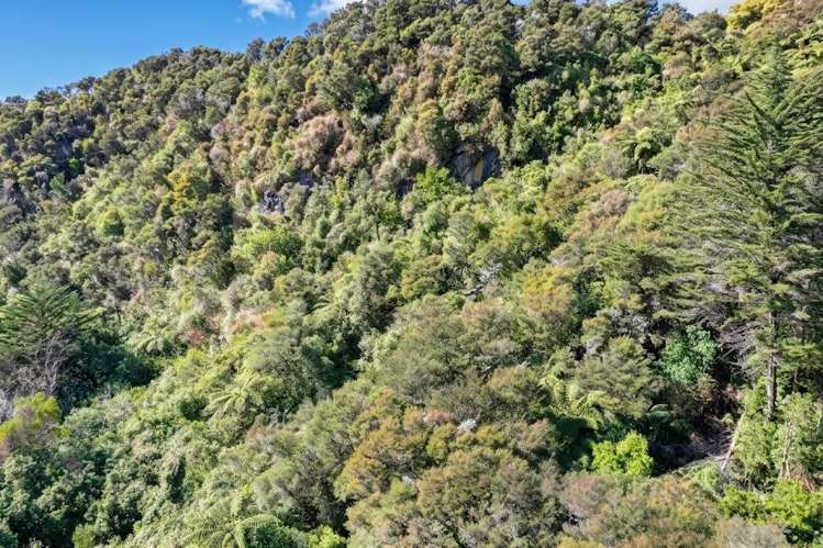 219 Parapara Valley Road Collingwood_8