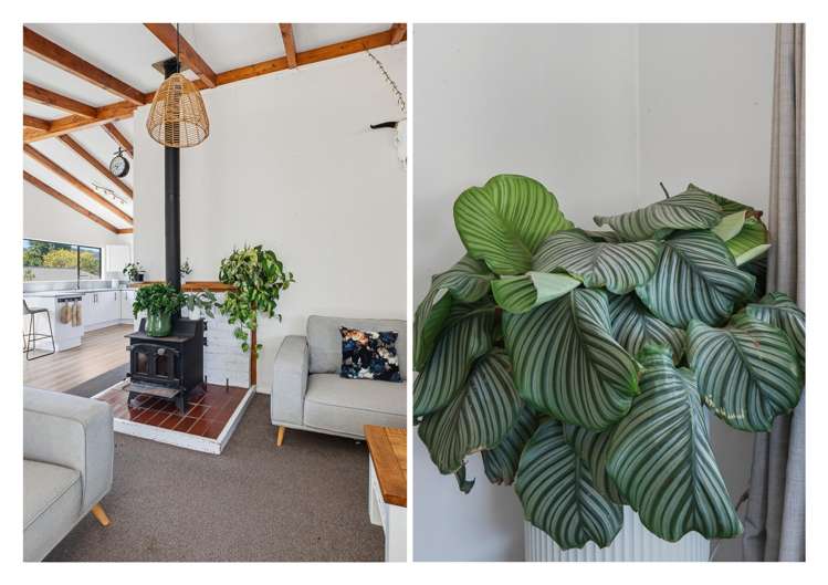 119 Lowe Avenue Thames_8