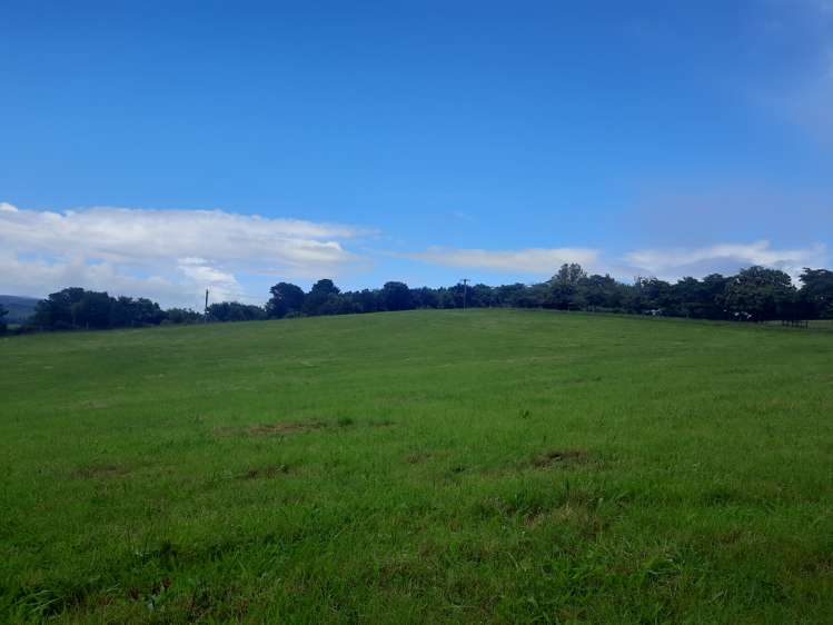 35 Grove Access Road Karamu_21