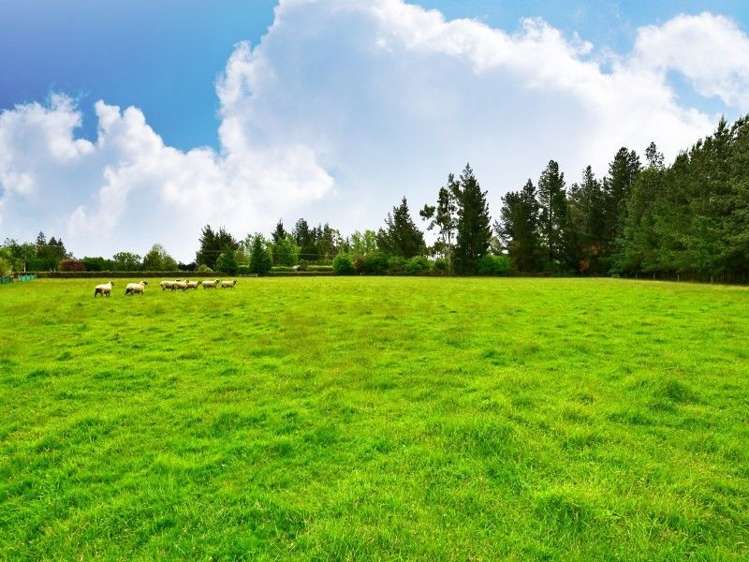 1484 Clintons Road Darfield_25