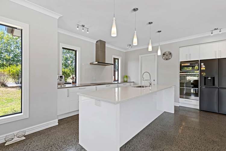 166J Postman Road Dairy Flat_11