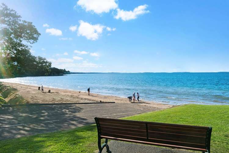 81 Seacliffe Avenue Narrow Neck_25