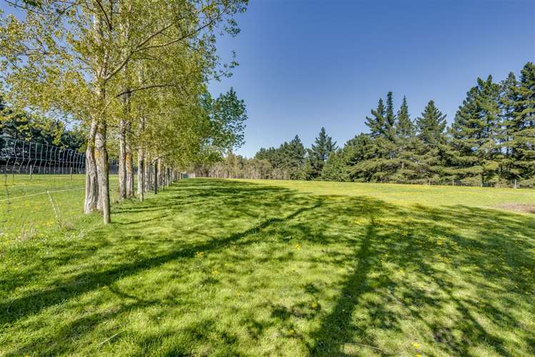 393 Dixons Road Loburn_13