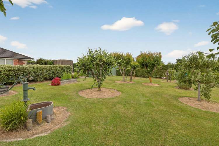 225 Marshmans Road Ashley_37