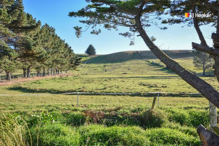 1284 Brighton Road Brighton_17