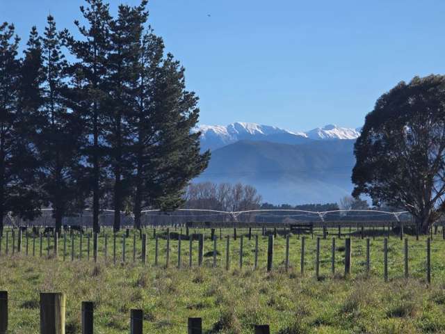 Kahutara Road Martinborough_3