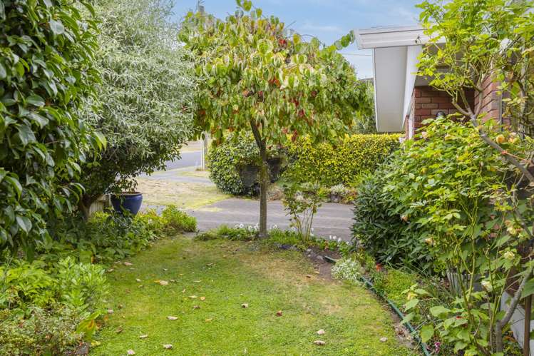 67 Ngamotu Road Hilltop_5