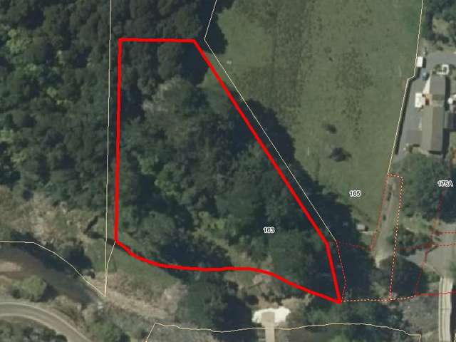 163 and 165 Tapu Coroglen Road Tapu_1