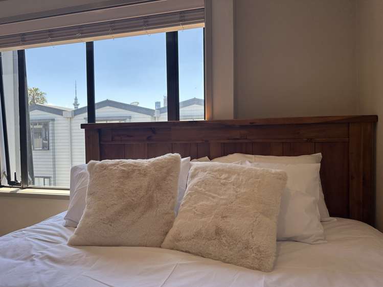 3 Dovedale Place Parnell_12