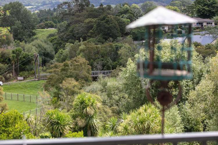 19 Patricia Place Katikati_14