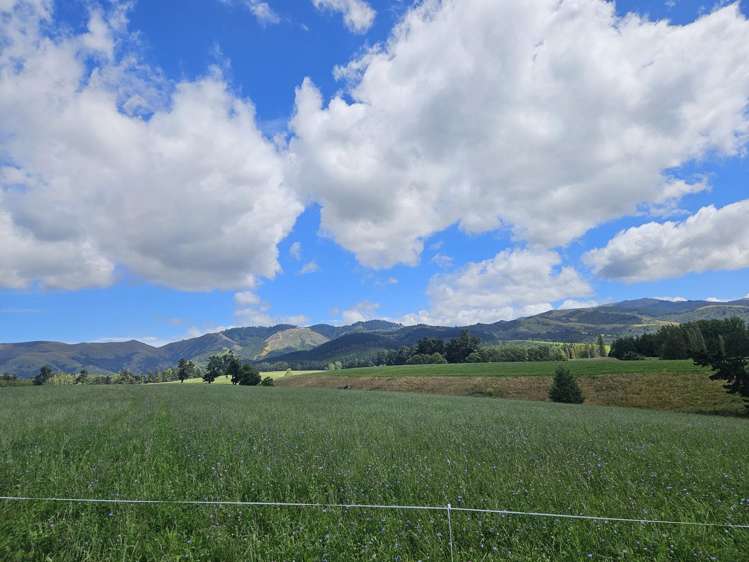 Lot 2 Brownleas Road Waimate_6