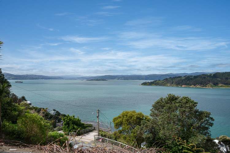 46A Grafton Road Roseneath_23