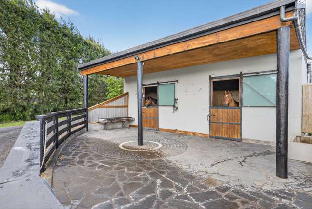 333 Tuhimata Road Ramarama_3