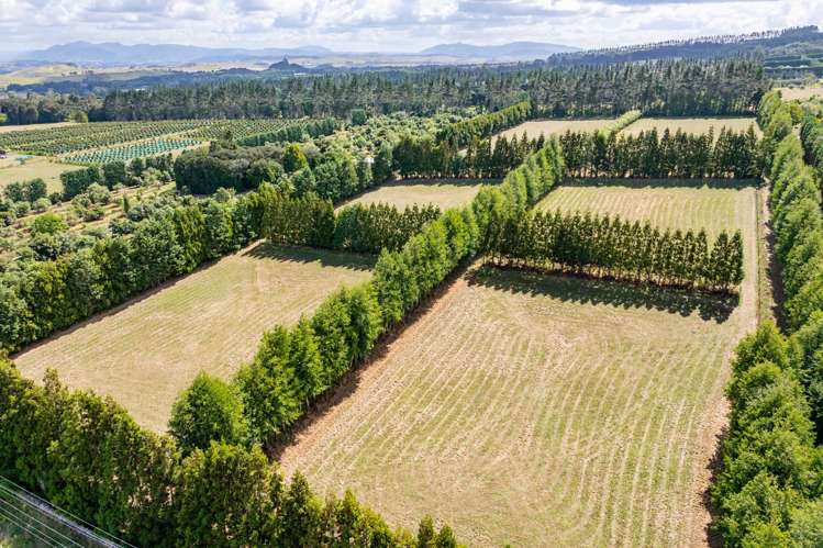 176 Whatitiri Road Maungatapere_12