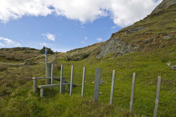 621 Black Jack Road Opito Bay_10