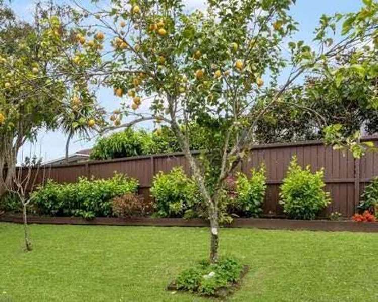 9 Harry Human Heights Meadowbank_9