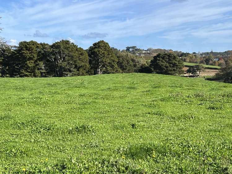 678 Waiuku Road Mauku_13