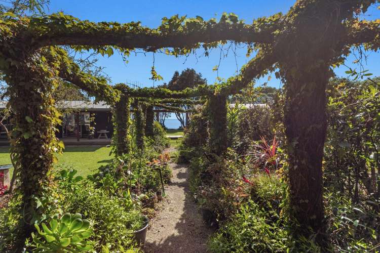 8 Thompson Road Waiotahe_39